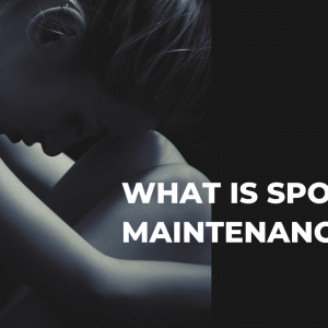WHAT IS SPOUSAL MAINTENANCE?